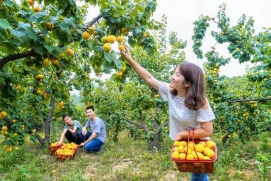 /upload/article/2019/10/12/0ca4ea80-1c7d-4ff9-bff2-f0a800decf33.jpg