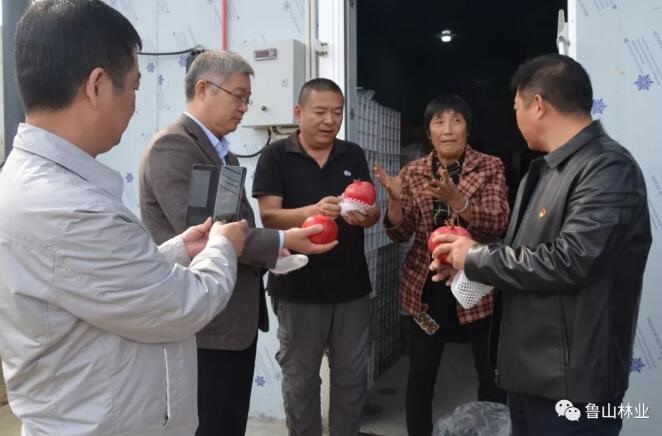 /upload/article/2019/10/18/a16ee6d8-fedd-47df-ac29-4c8582a45ae5.jpg