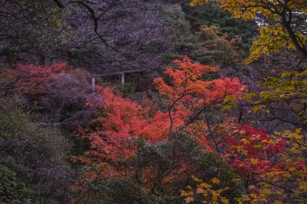 /upload/article/2019/11/05/7c5f0ca3-568f-4fca-978b-f109533a1dd6.jpg