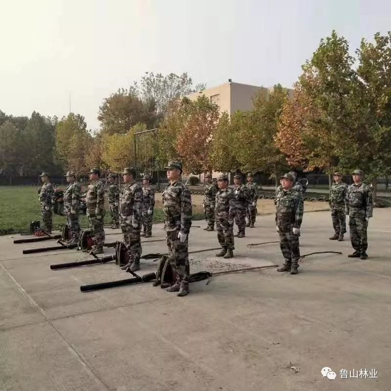 /upload/article/2019/11/12/df6ace8f-9866-43b6-82f9-8f0e40c0a435.jpg