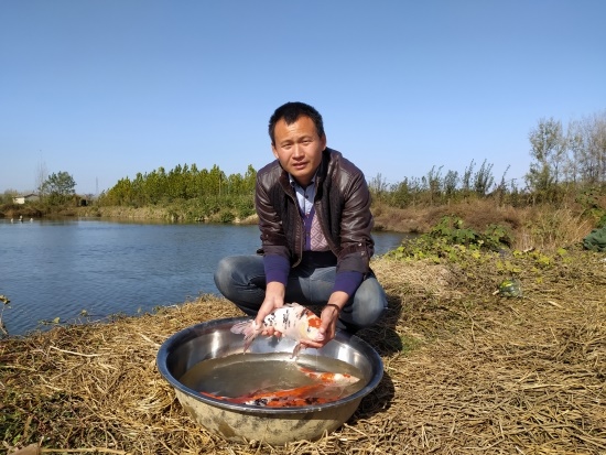 /upload/article/2019/11/15/1d3cc64b-1505-49c2-a19e-0d142934f977.jpg