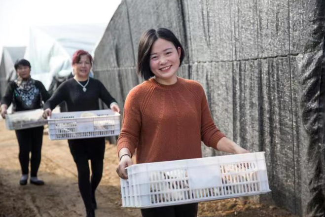 /upload/article/2019/12/29/b00bbe8d-8e4a-44cc-b330-77aa91668735.png