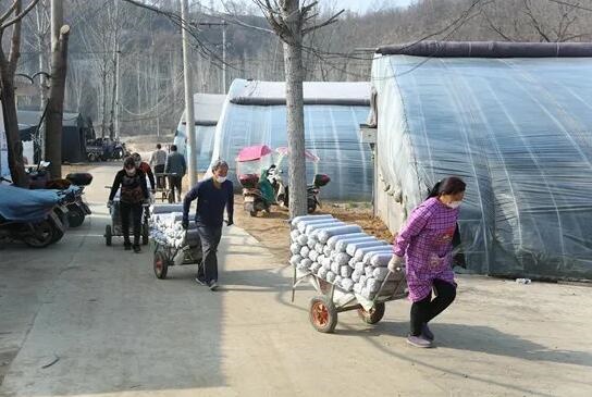 /upload/article/2020/03/13/ee8aea59-33ed-471c-b30b-9a09b4d30d44.jpg