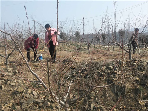 /upload/article/2020/03/16/37806653-0e30-44d4-baf0-43be420121d5.jpg /upload/article/2020/03/16/37806653-0e30-44d4-baf0-43be420121d5.jpg