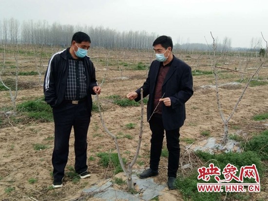 /upload/article/2020/03/16/5338bc52-b3b0-423d-809e-1b3e1ffba850.jpg /upload/article/2020/03/16/5338bc52-b3b0-423d-809e-1b3e1ffba850.jpg