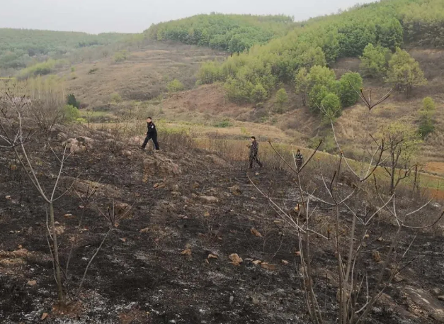 /upload/article/2020/04/06/323d87d8-9f38-4ed0-9ccc-f6784dfa4267.png /upload/article/2020/04/06/323d87d8-9f38-4ed0-9ccc-f6784dfa4267.png