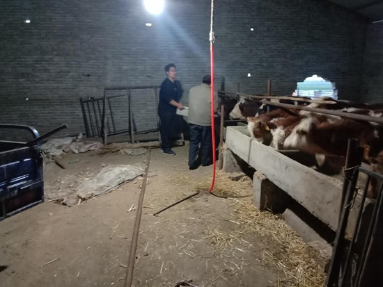 /upload/article/2020/04/06/8a994fa4-832a-4759-8d29-06f8daf3c99f.jpg /upload/article/2020/04/06/8a994fa4-832a-4759-8d29-06f8daf3c99f.jpg