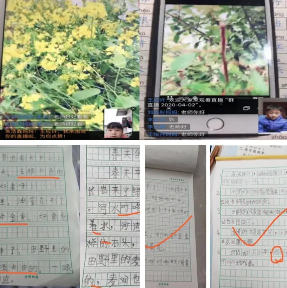 /upload/article/2020/04/09/7ea0bbc2-d6ea-442d-b0bd-6ace0edde3b3.png