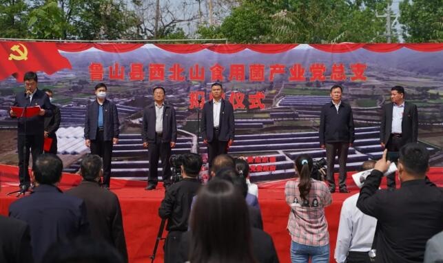 /upload/article/2020/04/30/d97e8387-086a-4680-8e30-cc0d2fd07f72.jpg