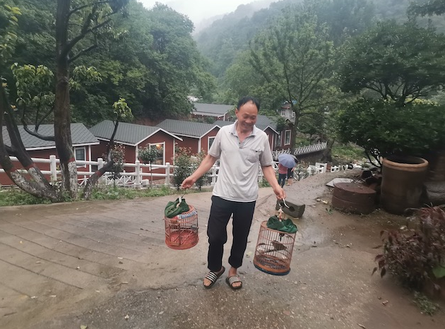 /upload/article/2020/08/03/575e8809-0ad0-4a3d-b069-4a4bda372b22.png /upload/article/2020/08/03/575e8809-0ad0-4a3d-b069-4a4bda372b22.png