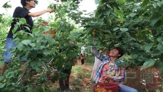 /upload/article/2020/08/09/67b18af6-47d2-4a75-8eb3-b608d60ae1b1.png /upload/article/2020/08/09/67b18af6-47d2-4a75-8eb3-b608d60ae1b1.png