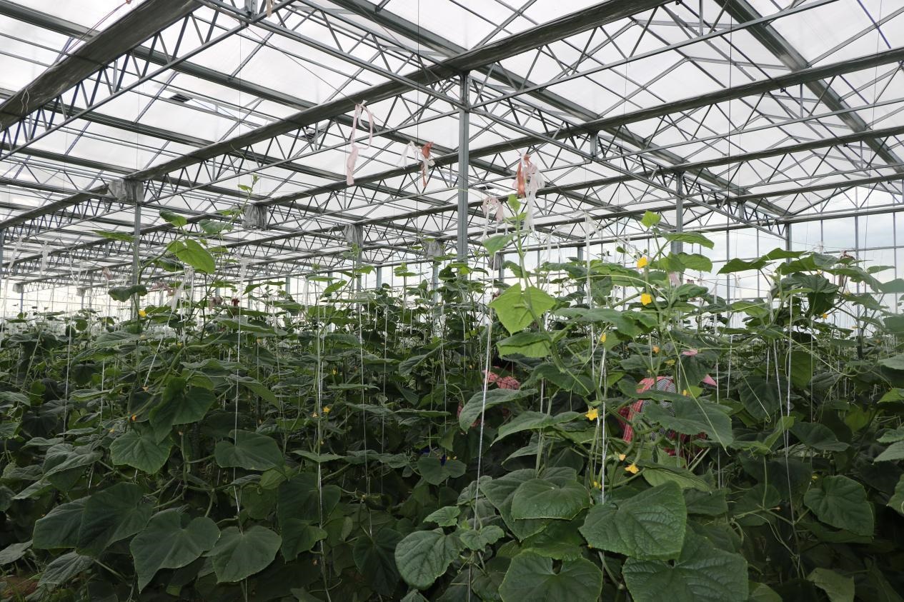 /upload/article/2021/09/13/e9ab6c81-cd7a-4f49-8248-73e45aaa8872.jpg /upload/article/2021/09/13/e9ab6c81-cd7a-4f49-8248-73e45aaa8872.jpg