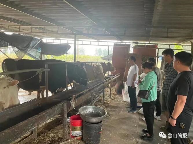 /upload/article/2021/09/19/c5b653ec-7451-40f0-8e96-04d8e41ef8c9.jpg /upload/article/2021/09/19/c5b653ec-7451-40f0-8e96-04d8e41ef8c9.jpg