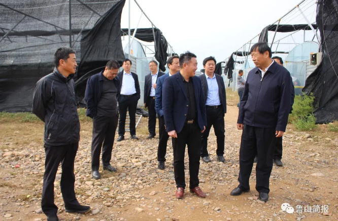 /upload/article/2021/10/19/408af0e3-7475-4c9b-ad30-be985d2848d1.png /upload/article/2021/10/19/408af0e3-7475-4c9b-ad30-be985d2848d1.png