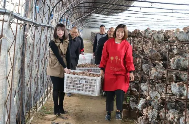 /upload/article/2021/10/21/9f1bd53d-5c72-40c9-9eef-a3acd64ea4af.png /upload/article/2021/10/21/9f1bd53d-5c72-40c9-9eef-a3acd64ea4af.png