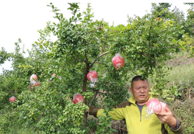 /upload/article/2021/10/22/a5a827ae-ff6a-4255-adac-b957f7584294.png /upload/article/2021/10/22/a5a827ae-ff6a-4255-adac-b957f7584294.png