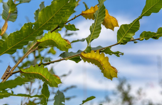 /upload/article/2021/10/22/d55ed92c-4f5f-4a14-a823-9cfe5f09f980.png /upload/article/2021/10/22/d55ed92c-4f5f-4a14-a823-9cfe5f09f980.png