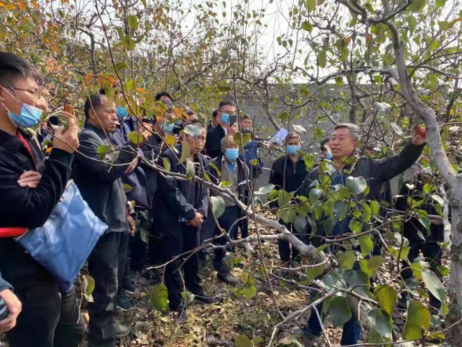 /upload/article/2021/11/05/04ac889a-209e-41ec-b3c0-030e01829935.png /upload/article/2021/11/05/04ac889a-209e-41ec-b3c0-030e01829935.png