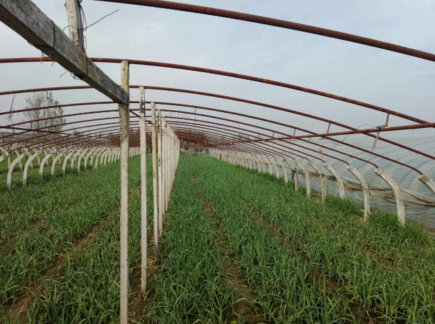 /upload/article/2021/11/19/a6ca79b9-6389-4fbb-a01a-f4f172eaaf94.png /upload/article/2021/11/19/a6ca79b9-6389-4fbb-a01a-f4f172eaaf94.png