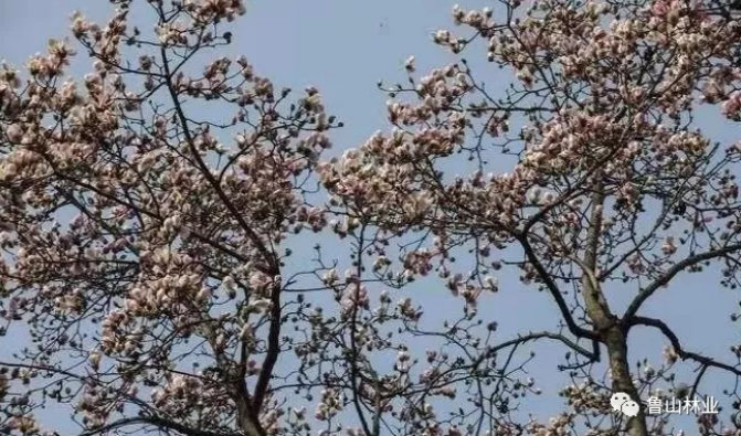 /upload/article/2021/12/16/275ec1ea-1d75-4152-87f3-7f4624782d9b.png /upload/article/2021/12/16/275ec1ea-1d75-4152-87f3-7f4624782d9b.png