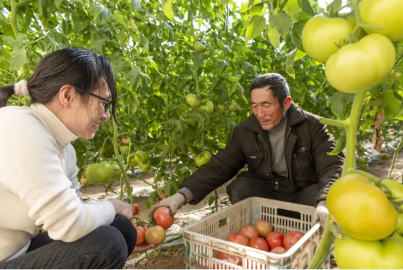 /upload/article/2021/12/29/726064e1-ba7a-4490-b45c-b8adca49aaec.png /upload/article/2021/12/29/726064e1-ba7a-4490-b45c-b8adca49aaec.png