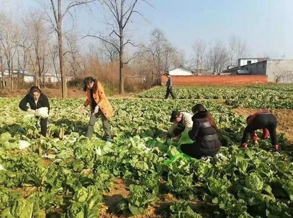 /upload/article/2022/01/10/62a85b6d-e999-4e0d-8867-c1dedf26ac6d.jpg /upload/article/2022/01/10/62a85b6d-e999-4e0d-8867-c1dedf26ac6d.jpg