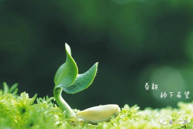/upload/article/2022/04/06/8bfec4ec-ad4b-45e7-8bb2-6f2e8785e70a.jpg