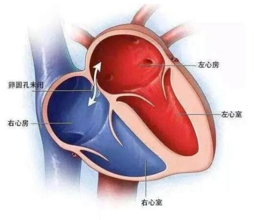 /upload/article/2022/07/19/521a9ae9-0076-48f0-92e3-b3ed663ec146.jpg