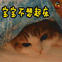 /upload/bbs/2017/11/26/8629d46f-cf1c-49cb-80c5-695ea91a2d5d.gif
