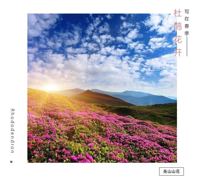 /upload/bbs/2018/04/08/15c99eb9-9ad4-4282-9f68-31a9b649dd7b.jpg