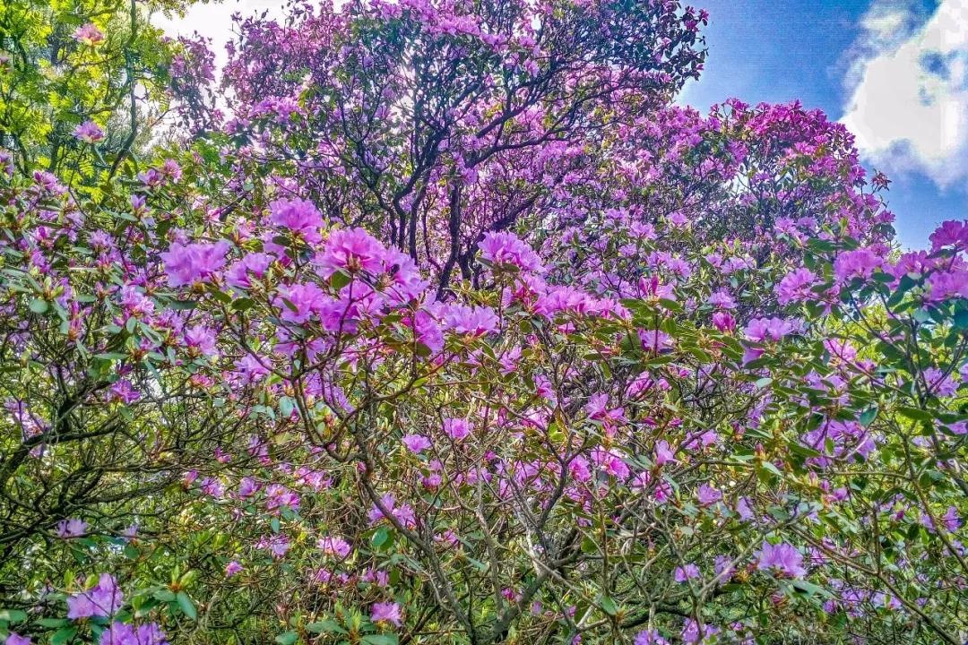 /upload/bbs/2018/04/23/e2f3dba8-a291-4f8b-9b51-7f8698e3e3a9.jpg