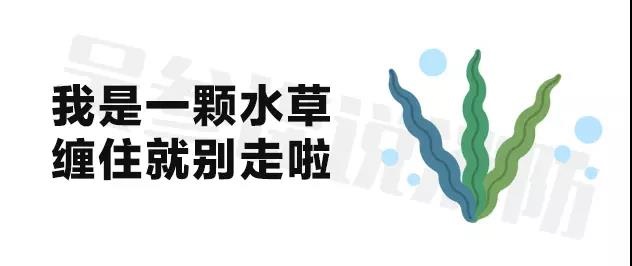 /upload/bbs/2018/06/07/575ee8fa-8387-41bd-8953-fcff83e8cfb2.jpg