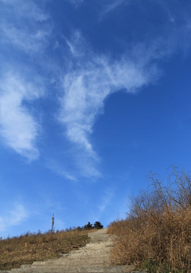 /upload/bbs/2018/07/21/1a3b2752-a267-48f1-ae5b-cdb741c6bb15.jpg
