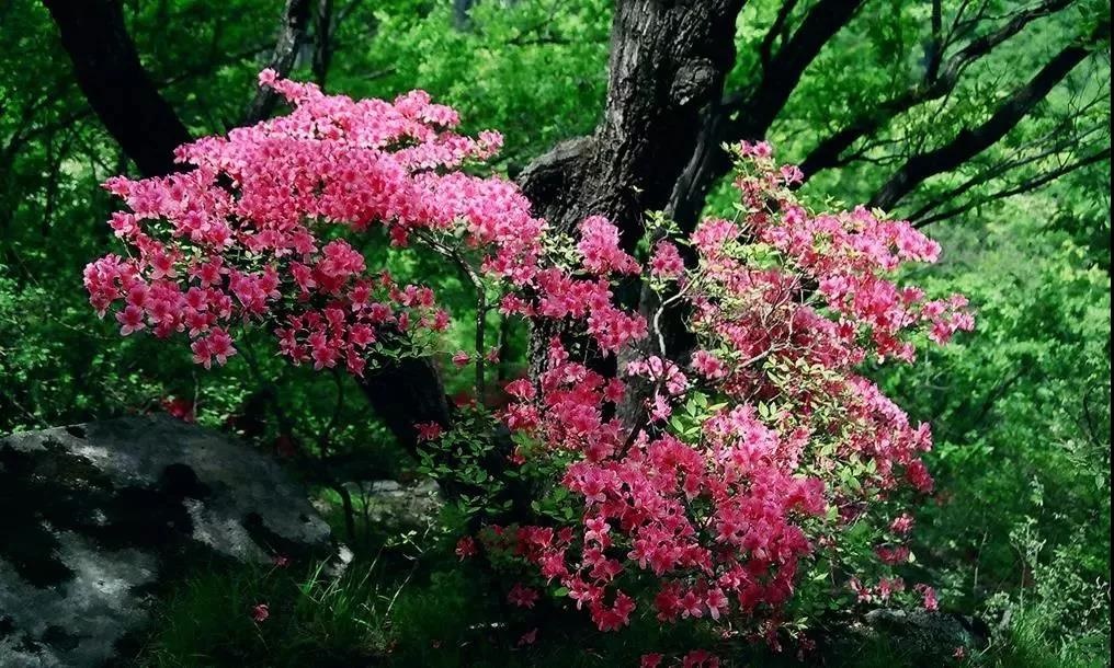 /upload/bbs/2019/03/21/66d461e9-c221-4248-91e9-900f6d86d724.jpg