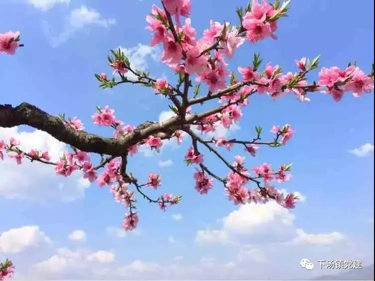 /upload/bbs/2019/03/27/0fb02a05-587b-4beb-b9bb-2aa879972d6c.jpg