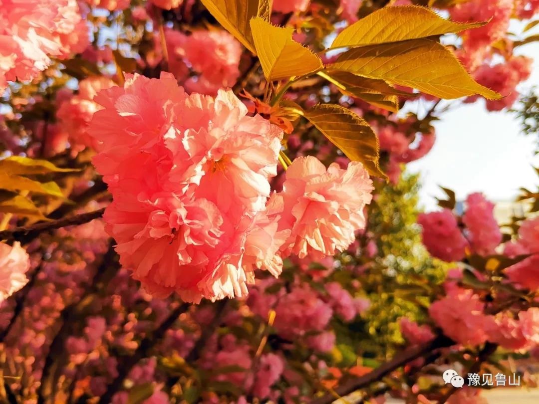 /upload/bbs/2019/04/08/ed371e66-139c-4a83-9ad8-a99b6d2527c2.jpg