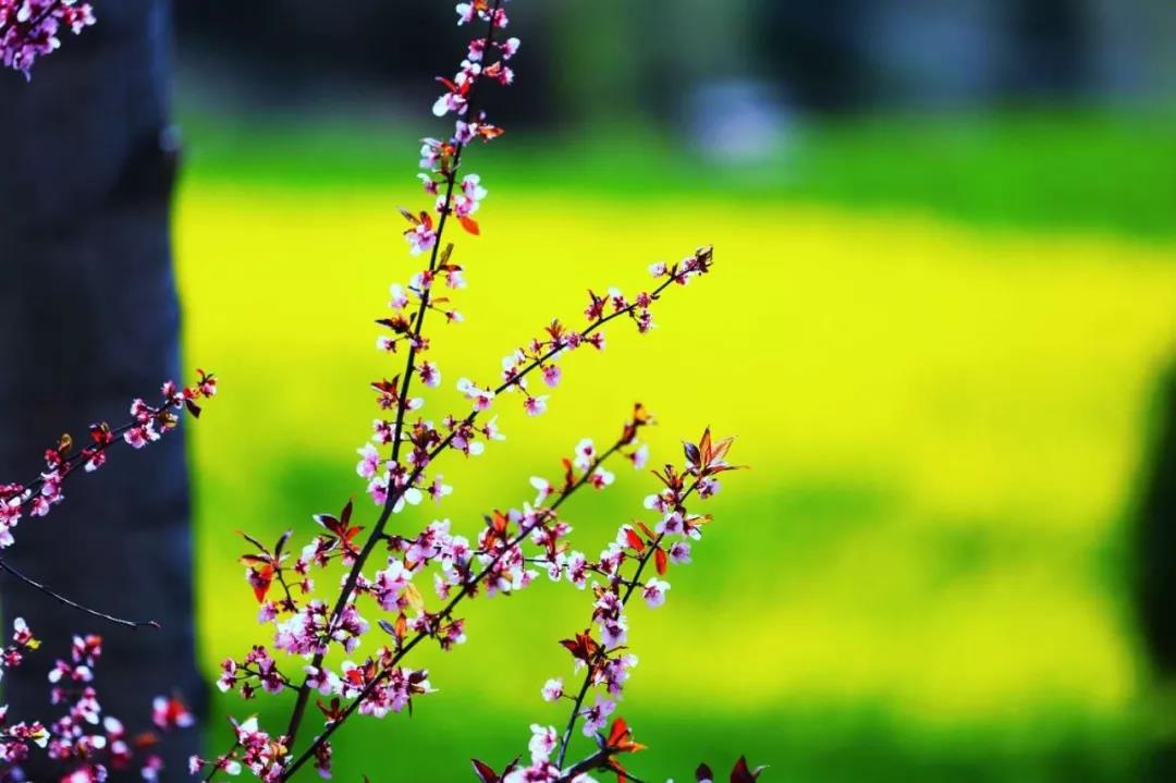 /upload/bbs/2019/04/12/5ecb4030-2a63-455a-b5da-662deac67d16.jpg